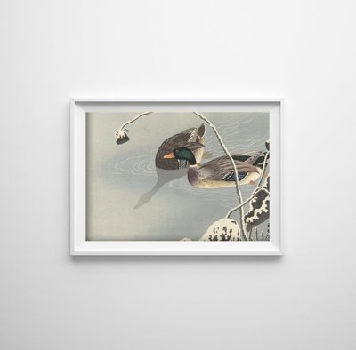 Canvas poster Two Mallards Near a Snow Covered Lotus by Ohara Koson