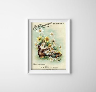 Canvas poster Williamson