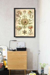 Vintage poster Marine-Animal Jellyfish Trachomedusae Ernst Haeckel