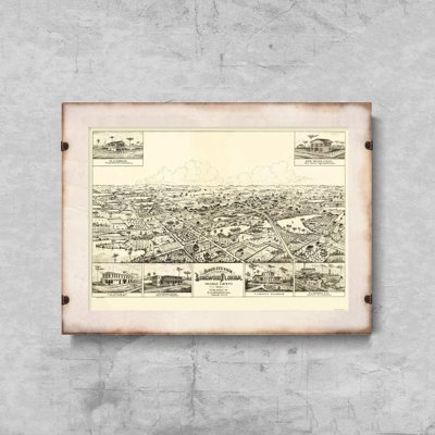 Canvas poster Bird's Eye View Longwood Florida