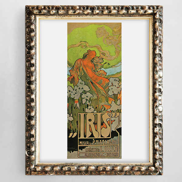 Canvas poster Iris