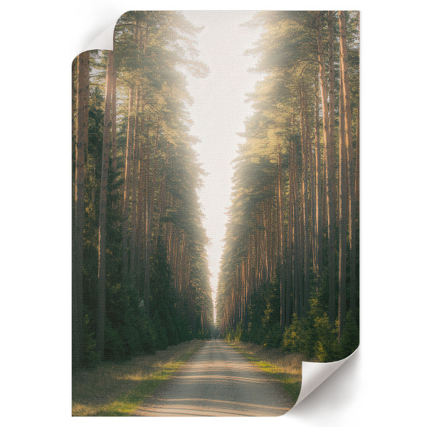 Wall art featuring a forest road scene