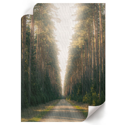 Wall art Forest road