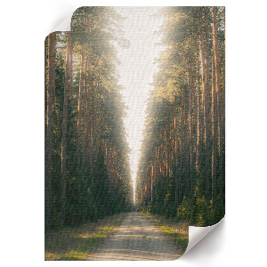 Wall art featuring a forest road scene