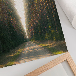 Wall art featuring a forest road scene