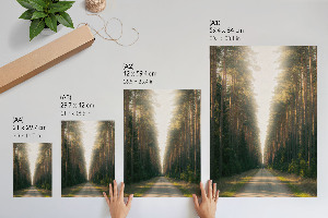 Wall art featuring a forest road scene