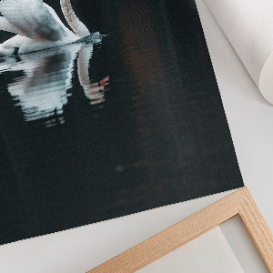 Wall print Swan in the water