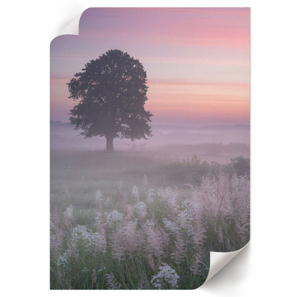 Art print A tree in the meadow