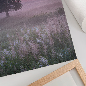 Art print A tree in the meadow