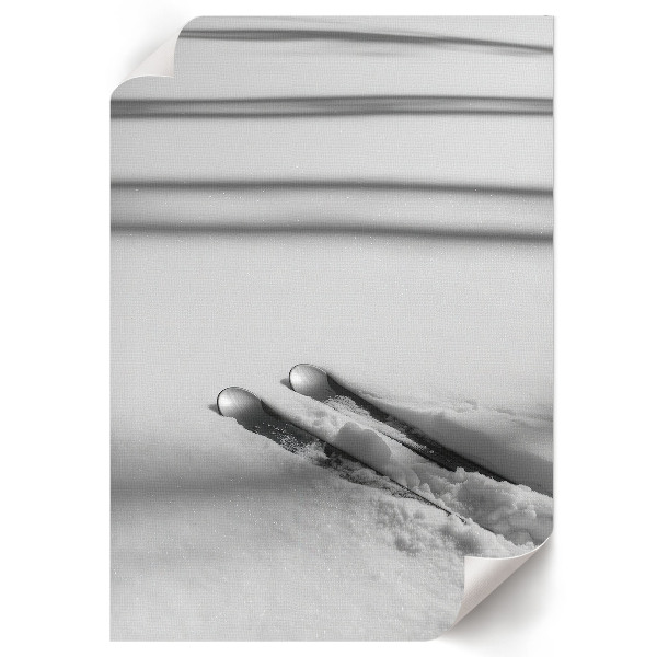 Art print Skis on the snow