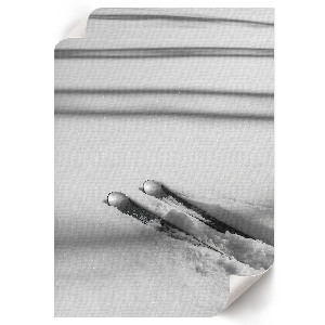 Art print Skis on the snow