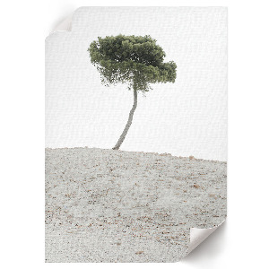 Decorative poster Lonely tree
