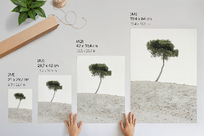 Decorative poster Lonely tree