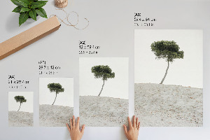 Decorative poster Lonely tree