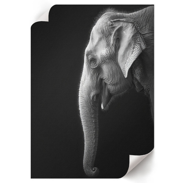 Wall print showing the profile of an elephant
