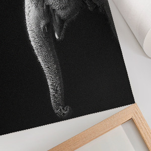 Wall print showing the profile of an elephant