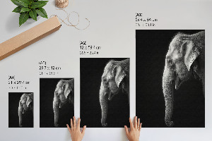 Wall print showing the profile of an elephant