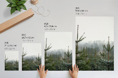 Decorative poster Green conifers