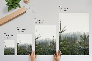 Decorative poster featuring green conifers