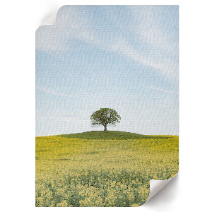 Poster featuring a solitary tree