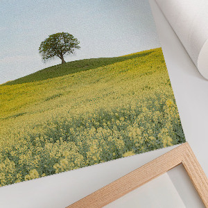 Poster featuring a solitary tree