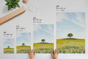 Poster featuring a solitary tree