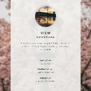 Poster with a spring lantern design