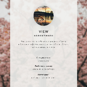 Poster with a spring lantern design