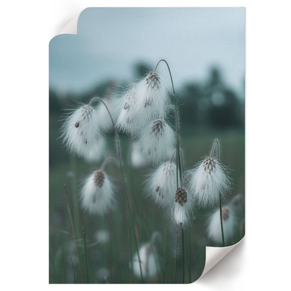 Poster depicting grass ears