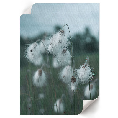 Poster Grass ears