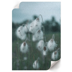 Poster depicting grass ears