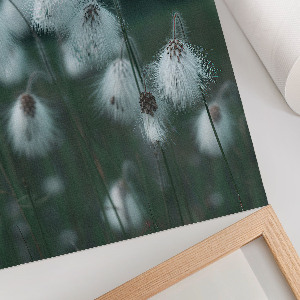 Poster depicting grass ears
