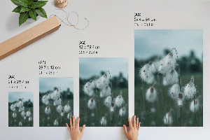 Poster depicting grass ears