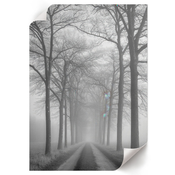 Wall art Fog on the road