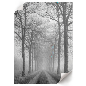 Wall art Fog on the road