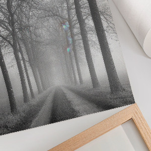 Wall art Fog on the road