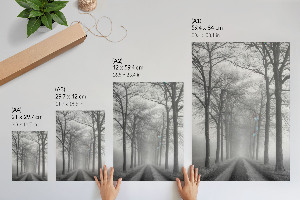 Wall art Fog on the road