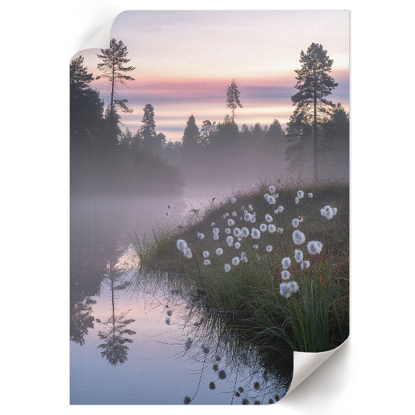 Art print Lake in the morning