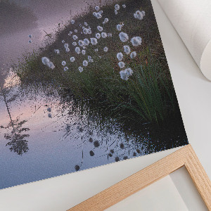 Art print Lake in the morning