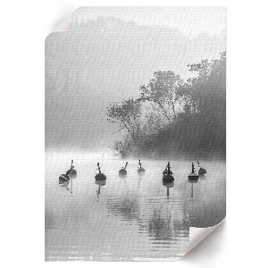 Art print depicting a foggy landscape