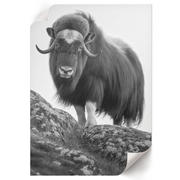 Wall art depicting a buffalo on a hill