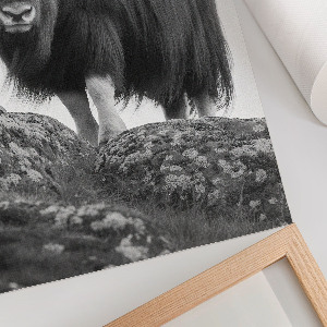 Wall art depicting a buffalo on a hill
