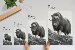 Wall art depicting a buffalo on a hill