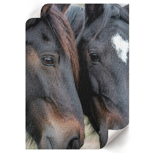 Wall art featuring two horses
