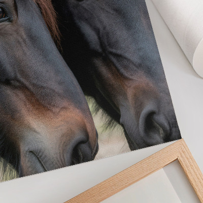 Wall art Two horses