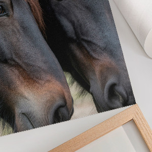 Wall art featuring two horses