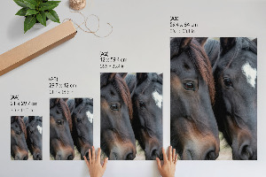 Wall art featuring two horses