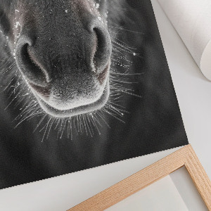 Wall print featuring a horse in the snow