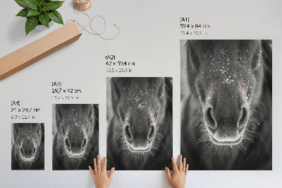 Wall print Horse and Snow