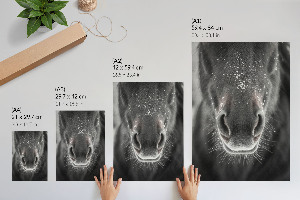 Wall print featuring a horse in the snow